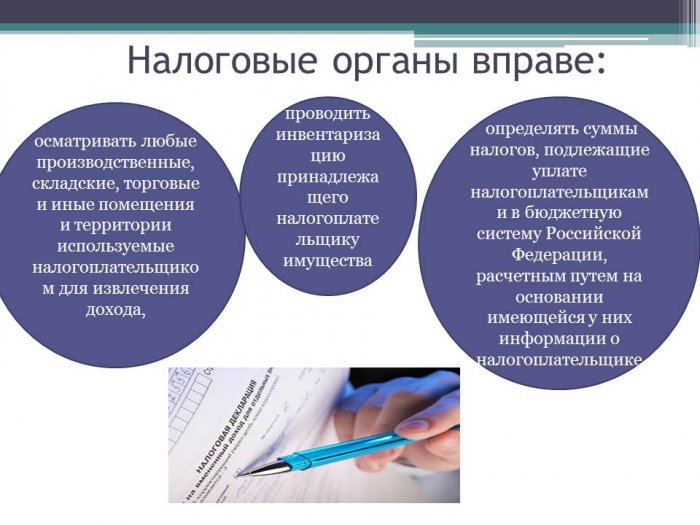 Презентация: Права и обязанности налоговых органов, согласно НК РФ