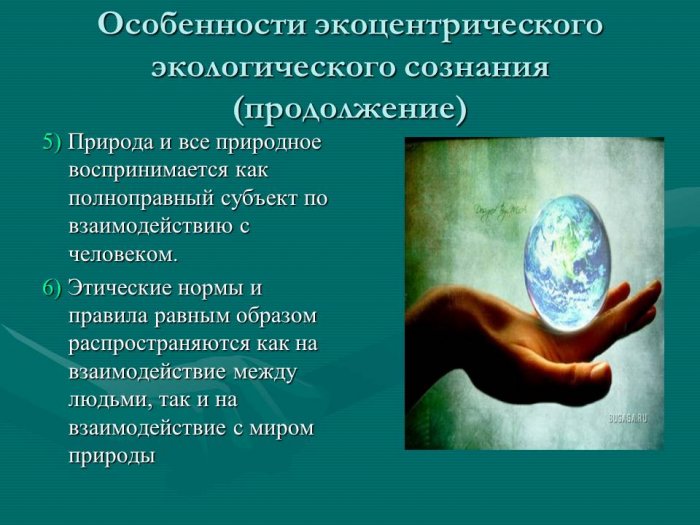 Презентация на тему: Методика преподавания экологии
