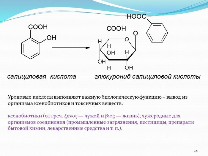 Презентация - Углеводы. Моносахариды.
