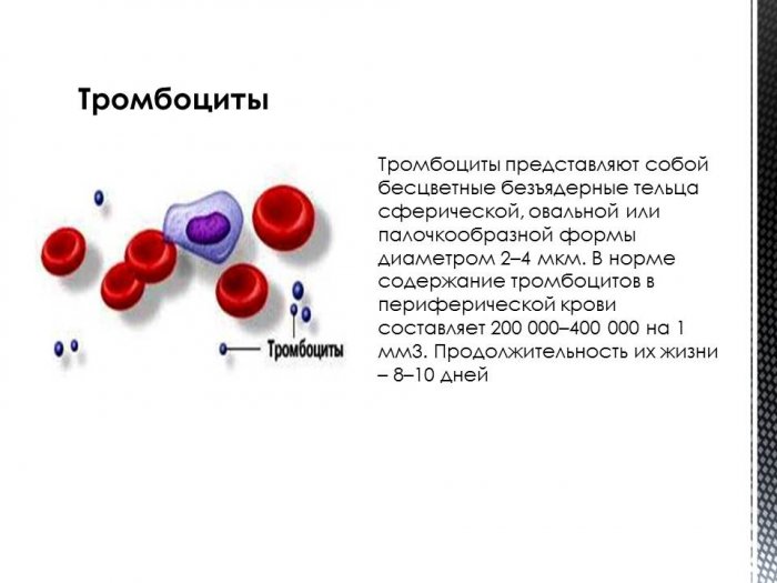 Презентация - Биохимия клеток крови