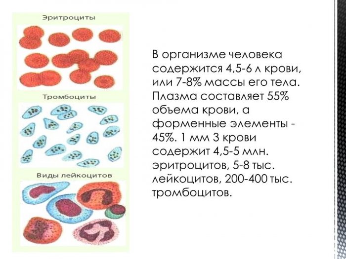 Презентация - Биохимия клеток крови