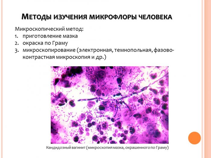 Презентация - Методы изучения микрофлоры человека и животных