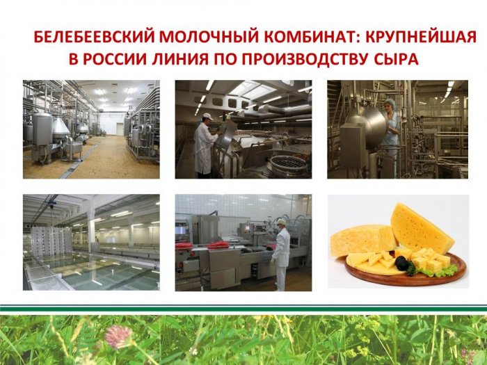 Товароведная характеристика качества твердых сычужных сыров выработанных различными производителями