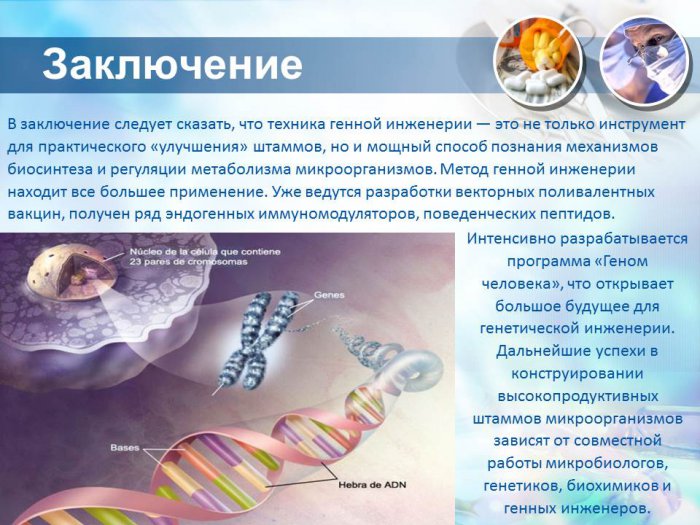Презентация - Генетическая инженерия в медицинской микробиологии
