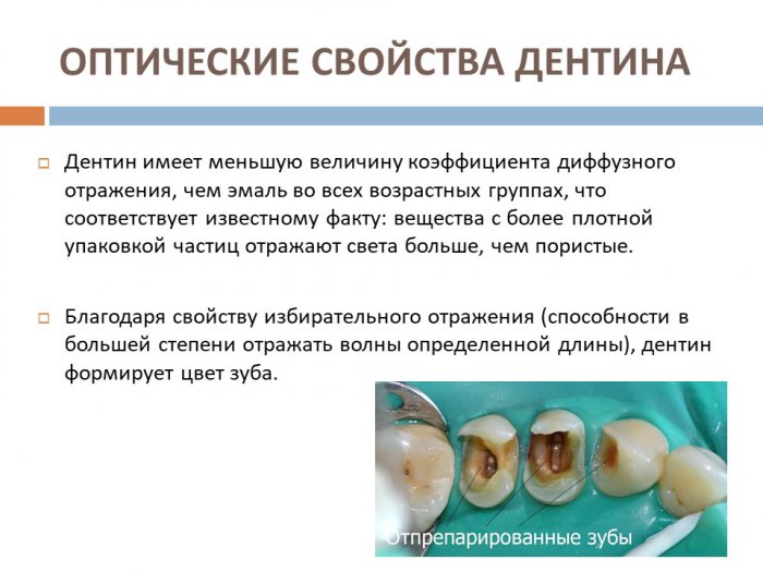 Презентация - Эстетические характеристики зуба