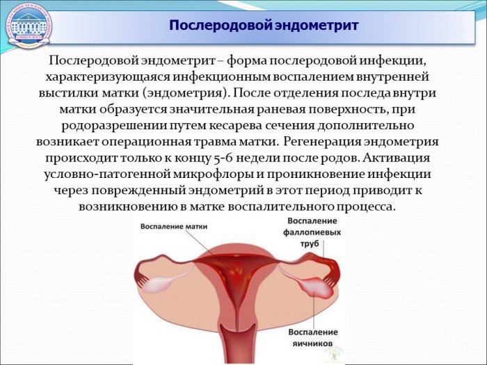 Презентация - Методы современных вспомогательных репродуктивных технологий