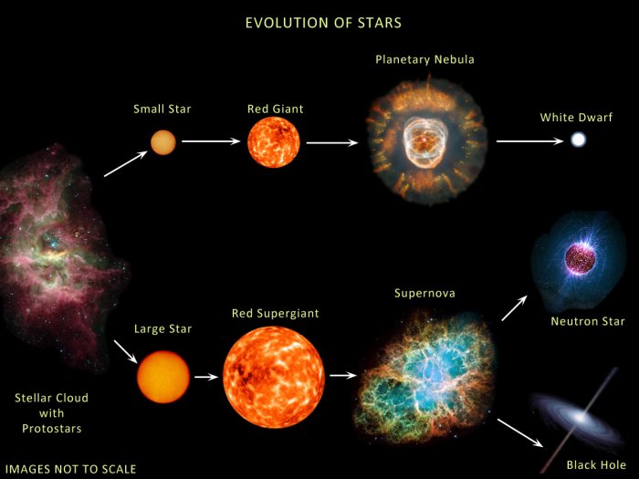 Эволюция звезд и синтез ядер