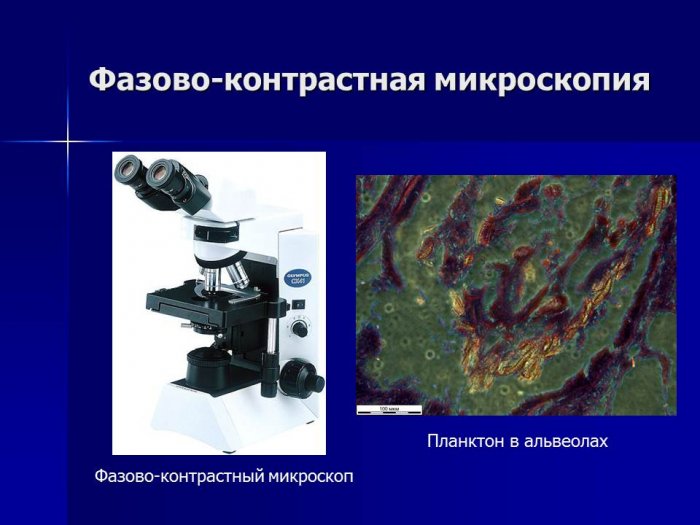Презентация - Экология микроорганизмов