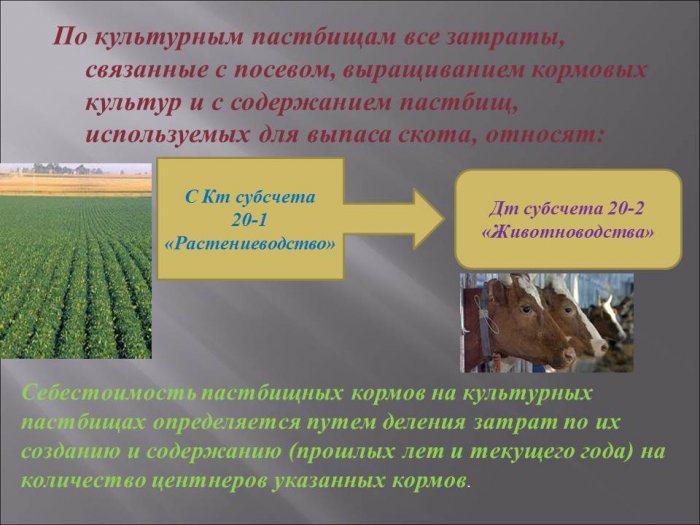 Презентация: Калькуляция себестоимости продукции кормовых культур и приготовление кормов