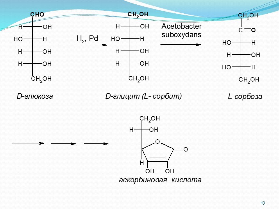 Углекислый газ глюкоза сорбит. Сорбоза моносахарид. Синтез моносахаридов. Получение моносахаридов. Способы получения моносахаридов.