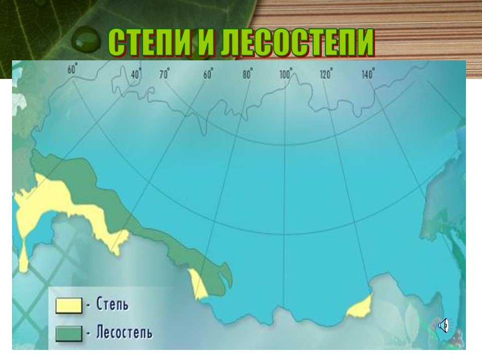 Нанесите на контурную карту лесостепную и степную. Географическое расположение лесостепей и степей. Степи и лесостепи географическое положение на карте. Зоны лесостепей и степей географическое положение. Географическое положение лесостепи и степи в России на карте.