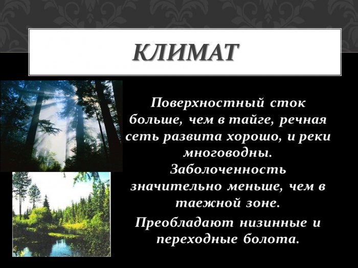 Презентация - Смешанные широколиственные леса