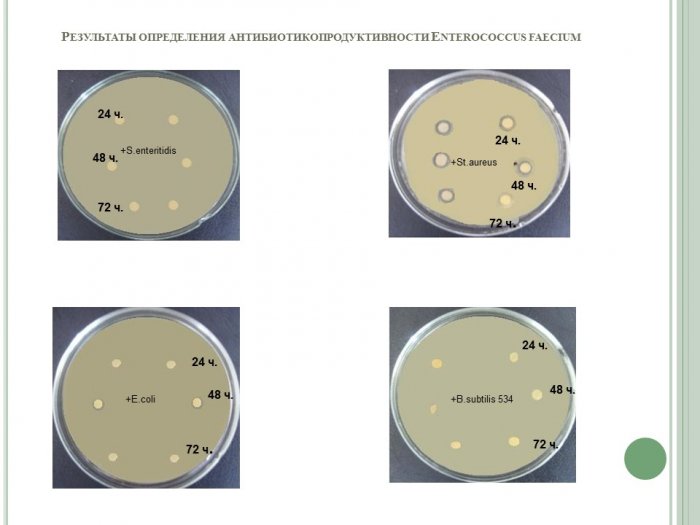 Презентация - Антибиотикопродуктивность и антибиотикорезистентность неспорообразующих бактерий, входящих в состав пробиотических препаратов в условиях in vitro