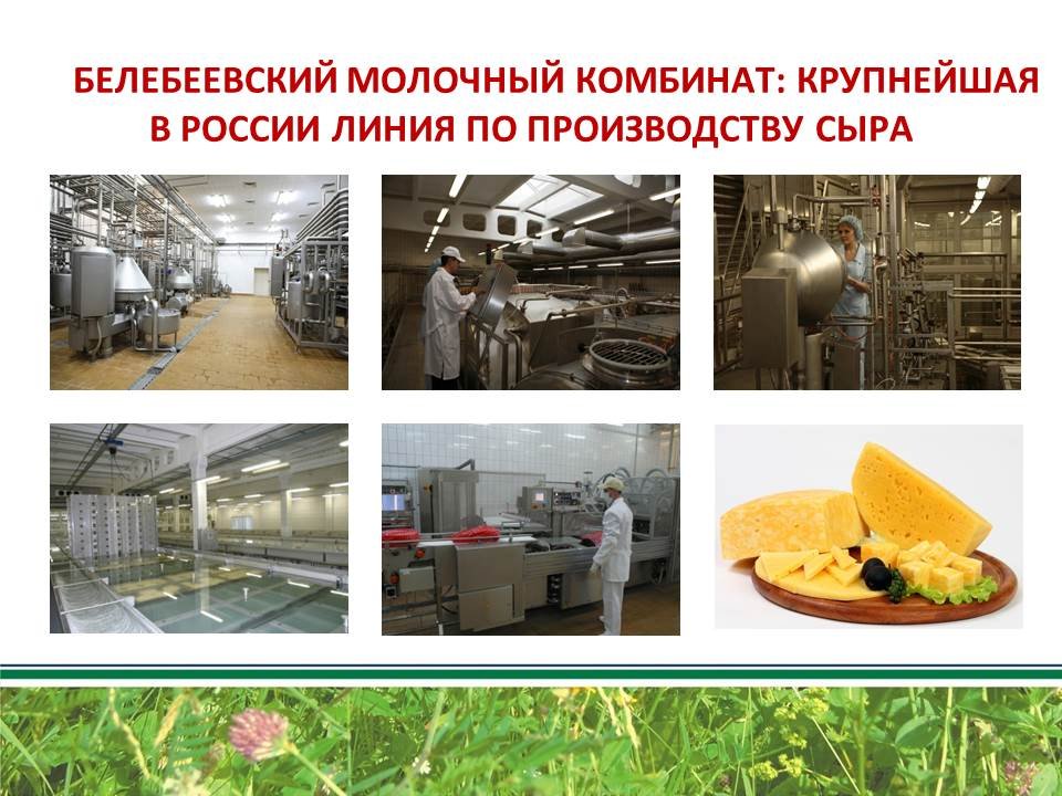 Реферат: Товароведная оценка качества сычужных сыров импортного производства