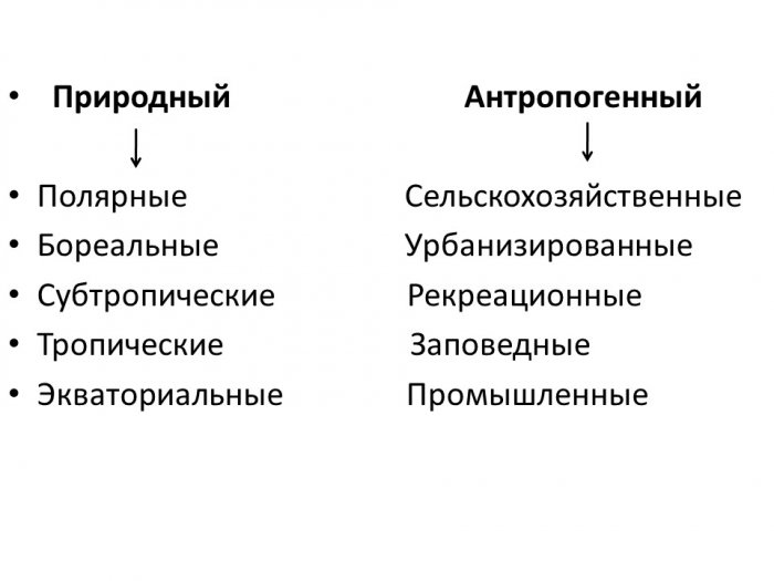 Презентация- Ландшафтные репрезентации в английских и русских фразеологизмах: переводческий аспект
