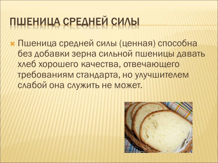 Презентация - Качество клейковины при прорастании у слабой и сильной пшеницы