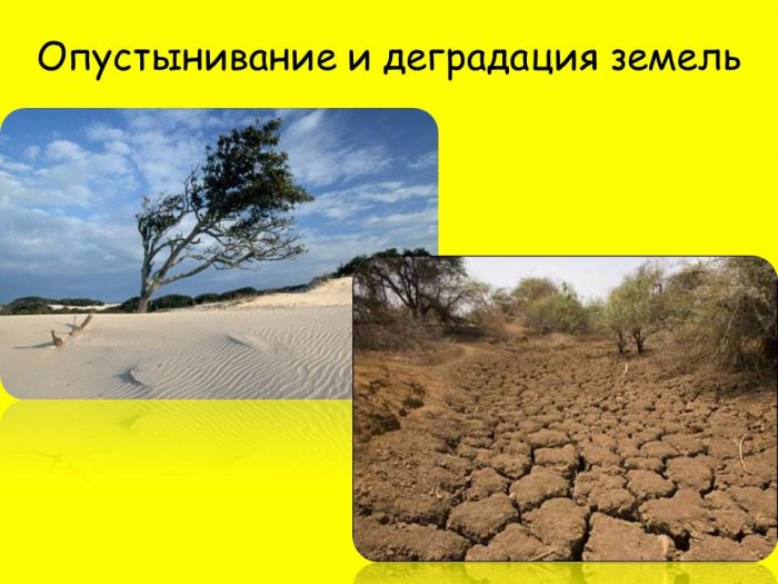 Презентация - Глобальные экологические проблемы Казахстана
