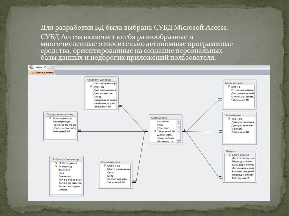 Разработка автоматизированной системы Отдел кадров средствами MS Access