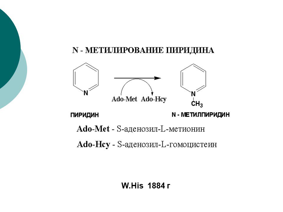 Продукт реакции нитробензола. Метилирование бензола механизм реакции. Метилирование пиридина. Метилирование толуола. Пиридин йодистый метил.